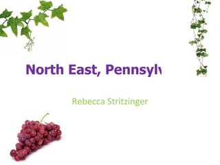 North East, Pennsylvania Rebecca Stritzinger 