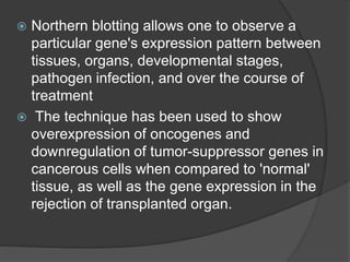  Northern blotting allows one to observe a
particular gene's expression pattern between
tissues, organs, developmental stages,
pathogen infection, and over the course of
treatment
 The technique has been used to show
overexpression of oncogenes and
downregulation of tumor-suppressor genes in
cancerous cells when compared to 'normal'
tissue, as well as the gene expression in the
rejection of transplanted organ.
 