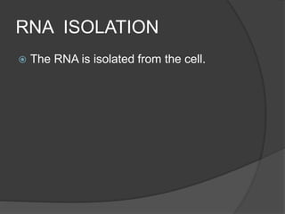 RNA ISOLATION
 The RNA is isolated from the cell.
 