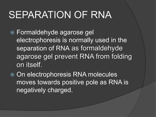 SEPARATION OF RNA
 Formaldehyde agarose gel
electrophoresis is normally used in the
separation of RNA as formaldehyde
agarose gel prevent RNA from folding
on itself.
 On electrophoresis RNA molecules
moves towards positive pole as RNA is
negatively charged.
 