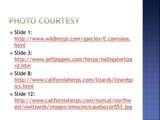  Slide 1:
http://www.wildherps.com/species/E.coerulea.
html
 Slide 3:
http://www.jeffpippen.com/herps/nalligatorliza
rd.htm
 Slide 8:
http://www.californiaherps.com/lizards/lizardsp
ics.html
 Slide 12:
http://www.californiaherps.com/noncal/northw
est/nwlizards/images/emscincicaudaccor053.jpg
 