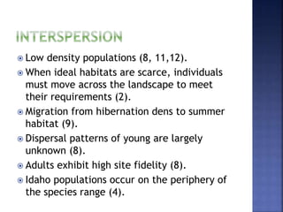  Low density populations (8, 11,12).
 When ideal habitats are scarce, individuals
must move across the landscape to meet
their requirements (2).
 Migration from hibernation dens to summer
habitat (9).
 Dispersal patterns of young are largely
unknown (8).
 Adults exhibit high site fidelity (8).
 Idaho populations occur on the periphery of
the species range (4).
 
