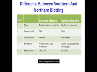 Northern and southern blot