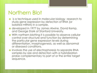 Northern Blot
 is a technique used in molecular biology research to
study gene expression by detection of RNA (or
isolated mRNA) in a sample.
 developed in 1977 by James Alwine, David Kemp,
and George Stark at Stanford University.
 With northern blotting it is possible to observe cellular
control over structure and function by determining
the particular gene expression levels during
differentiation, morphogenesis, as well as abnormal
or diseased conditions.
 involves the use of electrophoresis to separate RNA
samples by size and detection with a hybridization
probe complementary to part of or the entire target
sequence.
 