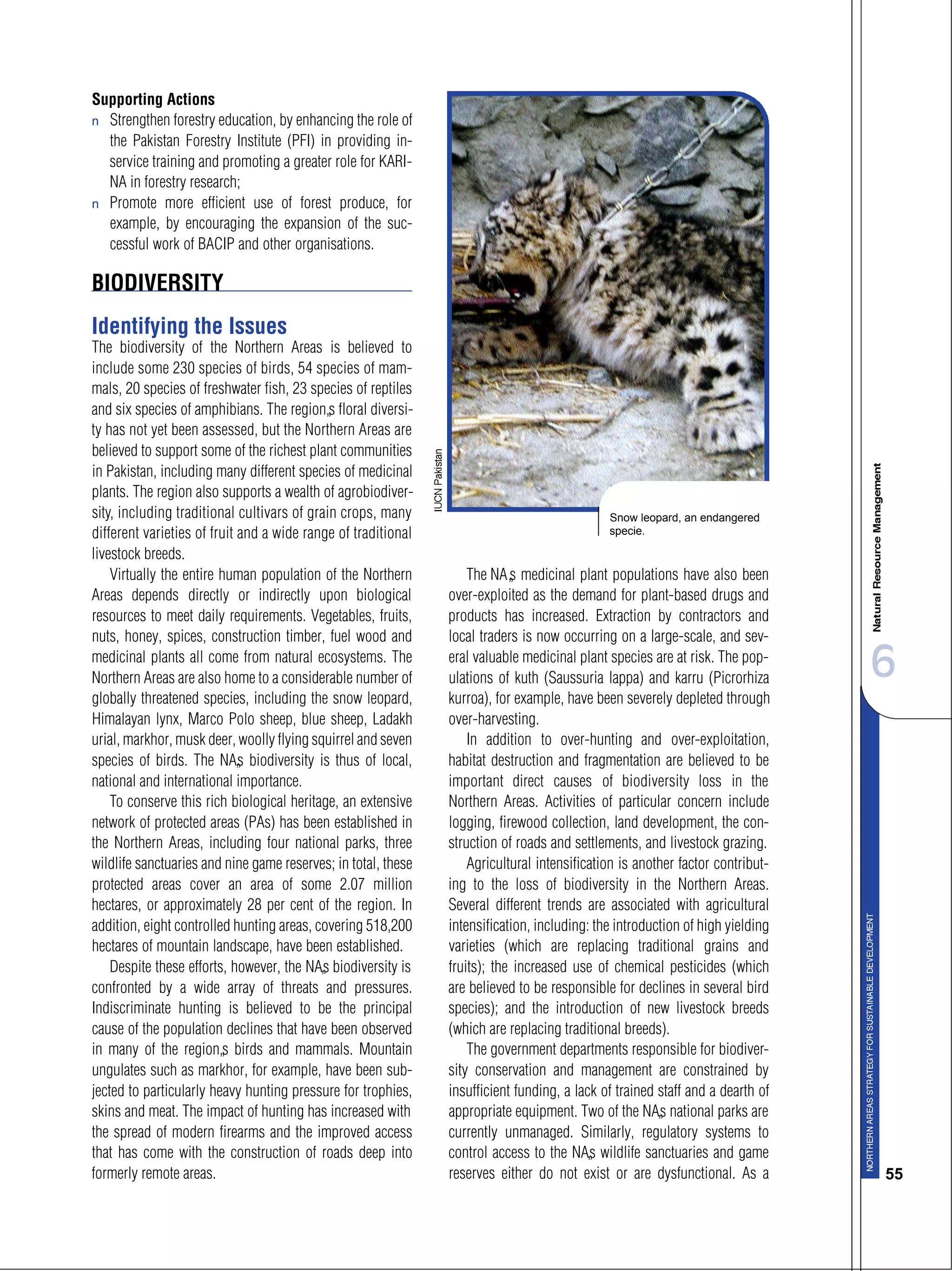 6
55
Supporting Actions
s Strengthen forestry education, by enhancing the role of
the Pakistan Forestry Institute (PFI) in providing in-
service training and promoting a greater role for KARI-
NA in forestry research;
s Promote more efficient use of forest produce, for
example, by encouraging the expansion of the suc-
cessful work of BACIP and other organisations.
BIODIVERSITY
Identifying the Issues
The biodiversity of the Northern Areas is believed to
include some 230 species of birds, 54 species of mam-
mals, 20 species of freshwater fish, 23 species of reptiles
and six species of amphibians. The region’s floral diversi-
ty has not yet been assessed, but the Northern Areas are
believed to support some of the richest plant communities
in Pakistan, including many different species of medicinal
plants. The region also supports a wealth of agrobiodiver-
sity, including traditional cultivars of grain crops, many
different varieties of fruit and a wide range of traditional
livestock breeds.
Virtually the entire human population of the Northern
Areas depends directly or indirectly upon biological
resources to meet daily requirements. Vegetables, fruits,
nuts, honey, spices, construction timber, fuel wood and
medicinal plants all come from natural ecosystems. The
Northern Areas are also home to a considerable number of
globally threatened species, including the snow leopard,
Himalayan lynx, Marco Polo sheep, blue sheep, Ladakh
urial, markhor, musk deer, woolly flying squirrel and seven
species of birds. The NA’s biodiversity is thus of local,
national and international importance.
To conserve this rich biological heritage, an extensive
network of protected areas (PAs) has been established in
the Northern Areas, including four national parks, three
wildlife sanctuaries and nine game reserves; in total, these
protected areas cover an area of some 2.07 million
hectares, or approximately 28 per cent of the region. In
addition, eight controlled hunting areas, covering 518,200
hectares of mountain landscape, have been established.
Despite these efforts, however, the NA’s biodiversity is
confronted by a wide array of threats and pressures.
Indiscriminate hunting is believed to be the principal
cause of the population declines that have been observed
in many of the region’s birds and mammals. Mountain
ungulates such as markhor, for example, have been sub-
jected to particularly heavy hunting pressure for trophies,
skins and meat. The impact of hunting has increased with
the spread of modern firearms and the improved access
that has come with the construction of roads deep into
formerly remote areas.
The NA’s medicinal plant populations have also been
over-exploited as the demand for plant-based drugs and
products has increased. Extraction by contractors and
local traders is now occurring on a large-scale, and sev-
eral valuable medicinal plant species are at risk. The pop-
ulations of kuth (Saussuria lappa) and karru (Picrorhiza
kurroa), for example, have been severely depleted through
over-harvesting.
In addition to over-hunting and over-exploitation,
habitat destruction and fragmentation are believed to be
important direct causes of biodiversity loss in the
Northern Areas. Activities of particular concern include
logging, firewood collection, land development, the con-
struction of roads and settlements, and livestock grazing.
Agricultural intensification is another factor contribut-
ing to the loss of biodiversity in the Northern Areas.
Several different trends are associated with agricultural
intensification, including: the introduction of high yielding
varieties (which are replacing traditional grains and
fruits); the increased use of chemical pesticides (which
are believed to be responsible for declines in several bird
species); and the introduction of new livestock breeds
(which are replacing traditional breeds).
The government departments responsible for biodiver-
sity conservation and management are constrained by
insufficient funding, a lack of trained staff and a dearth of
appropriate equipment. Two of the NA’s national parks are
currently unmanaged. Similarly, regulatory systems to
control access to the NA’s wildlife sanctuaries and game
reserves either do not exist or are dysfunctional. As a
Snow leopard, an endangered
specie.
 