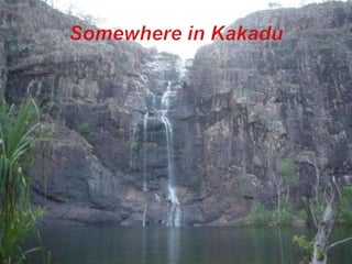 Somewhere in Kakadu