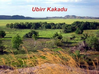 Ubirr Kakadu