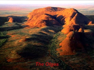The Olgas