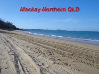 Mackay Northern QLD