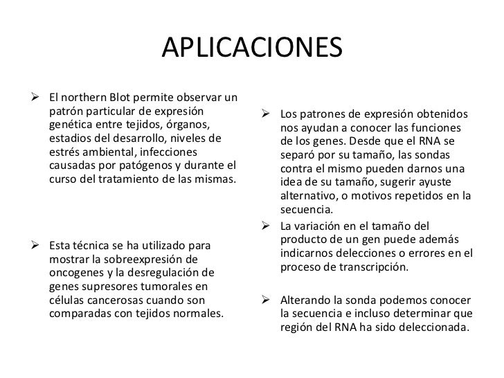 Diferencia Entre Southern Blot Y Northern Blot