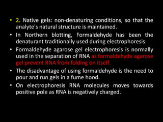 • 2. Native gels: non-denaturing conditions, so that the
analyte's natural structure is maintained.
• In Northern blotting, Formaldehyde has been the
denaturant traditionally used during electrophoresis.
• Formaldehyde agarose gel electrophoresis is normally
used in the separation of RNA as formaldehyde agarose
gel prevent RNA from folding on itself.
• The disadvantage of using formaldehyde is the need to
pour and run gels in a fume hood.
• On electrophoresis RNA molecules moves towards
positive pole as RNA is negatively charged.
 