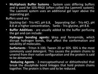 • Multiphasic Buffer Systems - System uses differing buffers
and is used for SDS-PAGE (often called the Laemmli system).
The Laemmli system uses an additional gel layer above the
separating gel.
Buffers used are:
Stacking Gel - Tris-HCl, pH 6.8, Separating Gel - Tris-HCl, pH
8.8 at a higher concentration, Tanks - Tris-glycine, pH 8.8.
• Buffer Additives - are usually added to the buffer perfusing
the gel and can include:
Hydrogen bonding agents: Urea and formamide, which
disrupt hydrogen bonds, that affect the conformation and
solubility of molecules.
Surfactants : Triton X-100, Tween 20 or SDS. SDS is the most
commonly used detergent. This causes the protein chains to
unwind from their native configuration and the protein is said
to be denatured.
Reducing Agents : 2-mercaptoethanol or dithiothreitol that
break the disulphide bond linkages that hold protein chains
together. The protein is then said to be reduced.
 