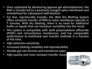 • Once separated by denaturing agarose gel electrophoresis, the
RNA is transferred to a positively charged nylon membrane and
immobilized for subsequent hybridization.
• For fast, reproducible transfer, the iBlot Dry Blotting System
offers complete transfer of RNA to nylon membrane typically in
7 minutes. With dry blotting, there is no need for additional
buffer or liquids that can introduce variability into the result.
• This system is compatible with both polyvinylidene difluoride
(PVDF) and nitrocellulose membranes, and has comparable
performance to traditional wet transfer methods in a fraction
of the time.
• High detection sensitivity
• Increased blotting reliability and reproducibility
• Flexible gel-size formats and membrane types
• High-quality and more compact transfer stacks
 