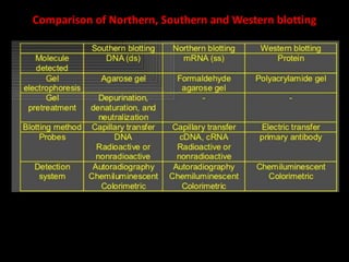 Comparison of Northern, Southern and Western blotting
 
