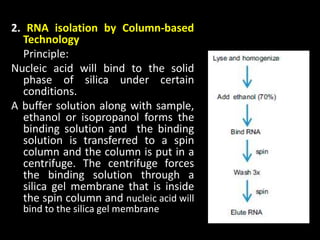 2. RNA isolation by Column-based
Technology
Principle:
Nucleic acid will bind to the solid
phase of silica under certain
conditions.
A buffer solution along with sample,
ethanol or isopropanol forms the
binding solution and the binding
solution is transferred to a spin
column and the column is put in a
centrifuge. The centrifuge forces
the binding solution through a
silica gel membrane that is inside
the spin column and nucleic acid will
bind to the silica gel membrane
 