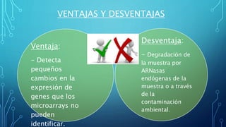 VENTAJAS Y DESVENTAJAS
Ventaja:
- Detecta
pequeños
cambios en la
expresión de
genes que los
microarrays no
pueden
identificar.
Desventaja:
- Degradación de
la muestra por
ARNasas
endógenas de la
muestra o a través
de la
contaminación
ambiental.
 
