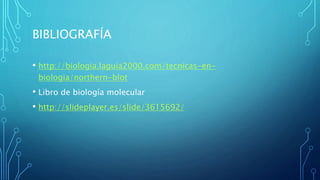 BIBLIOGRAFÍA
• http://biologia.laguia2000.com/tecnicas-en-
biologia/northern-blot
• Libro de biología molecular
• http://slideplayer.es/slide/3615692/
 