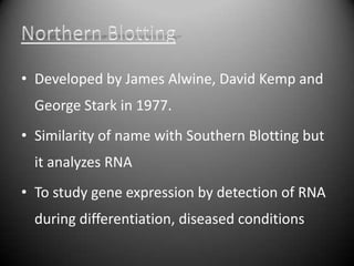 • Developed by James Alwine, David Kemp and
  George Stark in 1977.
• Similarity of name with Southern Blotting but
  it analyzes RNA
• To study gene expression by detection of RNA
  during differentiation, diseased conditions
 