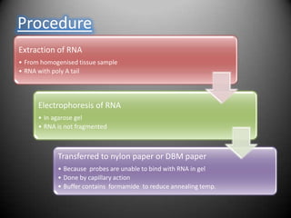 Procedure
Extraction of RNA
• From homogenised tissue sample
• RNA with poly A tail




      Electrophoresis of RNA
      • In agarose gel
      • RNA is not fragmented



            Transferred to nylon paper or DBM paper
            • Because probes are unable to bind with RNA in gel
            • Done by capillary action
            • Buffer contains formamide to reduce annealing temp.
 