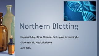 Hapuarachchige Dona Thisarani Sankalpana Samarasinghe
Diploma in Bio Medical Science
June 2016
Northern Blotting
 