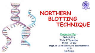 NORTHERN
BLOTTING
TECHNIQUE
Prepared By...
Nabajit Roy
M.Sc 2nd Semester
Paper –LS-202
Dept. of Life Science and Bioinformatics
AUS
2017-2018
 