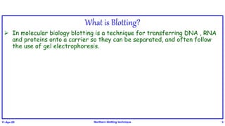 What is Blotting?
 In molecular biology blotting is a technique for transferring DNA , RNA
and proteins onto a carrier so they can be separated, and often follow
the use of gel electrophoresis.
11-Apr-20 Northern blotting technique 3
 