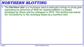 NORTHERN BLOTTING
 The Northern blot is a technique used in molecular biology to study gene
expression by detection of RNA (or isolated mRNA) in a sample
developed by Alwnie and his colleagues in 1979. This method was named
for its similarity to the technique known as a Southern blot.
11-Apr-20 Northern blotting technique 6
 
