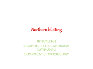 Northern blotting
BY-SANJU SAH
ST.XAVIER’S COLLEGE, MAITIGHAR,
KATHMANDU
DEPARTMENT OF MICROBIOLOGY
 