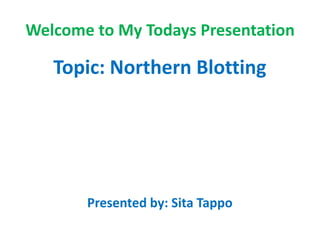 Welcome to My Todays Presentation
Topic: Northern Blotting
Presented by: Sita Tappo
 