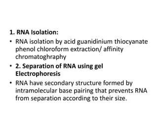 Northern Blotting PPT ( The transfer of RNA to membrane) | PPTX