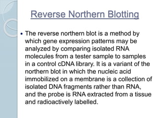 Reverse Northern Blotting
 The reverse northern blot is a method by
which gene expression patterns may be
analyzed by comparing isolated RNA
molecules from a tester sample to samples
in a control cDNA library. It is a variant of the
northern blot in which the nucleic acid
immobilized on a membrane is a collection of
isolated DNA fragments rather than RNA,
and the probe is RNA extracted from a tissue
and radioactively labelled.
 