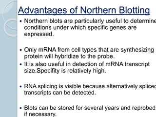 Advantages of Northern Blotting
 Northern blots are particularly useful to determine
conditions under which specific genes are
expressed.
 Only mRNA from cell types that are synthesizing
protein will hybridize to the probe.
 It is also useful in detection of mRNA transcript
size.Specifity is relatively high.
 RNA splicing is visible because alternatively spliced
transcripts can be detected.
 Blots can be stored for several years and reprobed
if necessary.
 