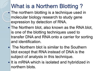 What is a Northern Blotting ?
 The northern blotting is a technique used in
molecular biology research to study gene
expression by detection of RNA.
 The Northern blot, also known as the RNA blot,
is one of the blotting techniques used to
transfer DNA and RNA onto a carrier for sorting
and identification.
 The Northern blot is similar to the Southern
blot except that RNA instead of DNA is the
subject of analysis in this technique.
 It is mRNA which is isolated and hybridized in
northern blots.
 