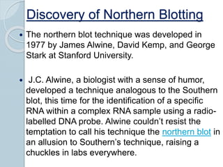 Discovery of Northern Blotting
 The northern blot technique was developed in
1977 by James Alwine, David Kemp, and George
Stark at Stanford University.
 J.C. Alwine, a biologist with a sense of humor,
developed a technique analogous to the Southern
blot, this time for the identification of a specific
RNA within a complex RNA sample using a radio-
labelled DNA probe. Alwine couldn’t resist the
temptation to call his technique the northern blot in
an allusion to Southern’s technique, raising a
chuckles in labs everywhere.
 