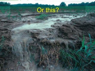 Or this?

      Dissipate large amounts of ag
    chemicals into the environment…
    sometimes the consequences are
                 severe !




http://mckusicklake.org/wp-content/uploads/2008/04/2007_0327image0001.JPG
 