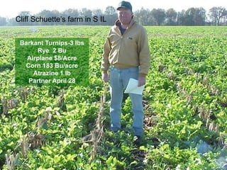 Cliff Schuette’s farm in S IL


 Barkant Turnips-3 lbs
      Rye 2 Bu
   Airplane $8/Acre
  Corn 183 Bu/acre
     Atrazine 1 lb
   Partner April 28
 