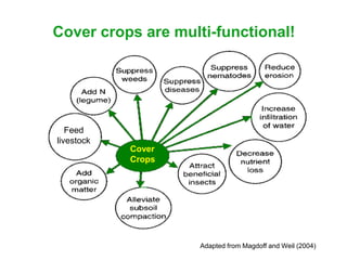 Cover crops are multi-functional!




   Feed
livestock
            Cover
            Crops




                    Adapted from Magdoff and Weil (2004)
 