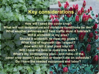 Key considerations

               How will I seed the cover crop?
What will soil temperature and moisture conditions be like?
 What weather extremes and field traffic must it tolerate?
                  Will it winterkill in my area?
           Should it winterkill, to meet my goals?
            What kind of regrowth can I expect?
              How will I kill it and plant into it?
           Will I have the time to make this work?
     What’s my contingency plan—and risks—if the
 cover crop doesn’t establish or doesn’t die on schedule?
       Do I have the needed equipment and labor?
 
