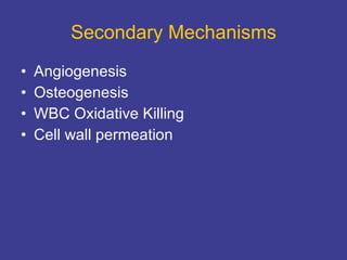 Secondary Mechanisms Angiogenesis Osteogenesis WBC Oxidative Killing Cell wall permeation 