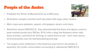 People of the Andes
• Predated the Olmec of Mesoamerica by 2,000 years
• All Andean complex societies built city-states with large urban centers
• Main crops were potatoes, squash, chili peppers, beans, and maize
• Sometime around 4000 B.C.E., they domesticated the llama and alpaca; used as
pack animals (could carry 100 lbs. 10-12 miles a day); the Andeans never rode
these animals, used them for farming, or raised them to eat – their main source
of animal protein was the domesticated guinea pig!
• The largest urban settlement in the Americas was Caral in the Andes; 6
pyramids; 20 smaller communities surrounding it; abandoned 1800 B.C.E.
 