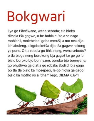 Northern Sotho Sepedi Motivational Diligence Tract.pdf