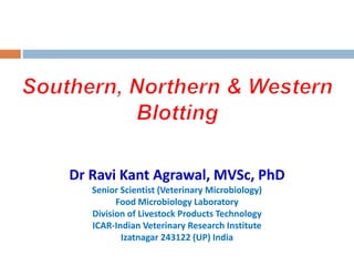 Dr Ravi Kant Agrawal, MVSc, PhD
Senior Scientist (Veterinary Microbiology)
Food Microbiology Laboratory
Division of Livestock Products Technology
ICAR-Indian Veterinary Research Institute
Izatnagar 243122 (UP) India
 