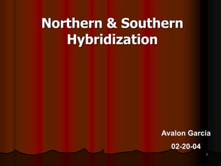1
Northern & Southern
Hybridization
Avalon Garcia
02-20-04
 