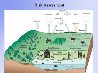 Risk Assessment
 