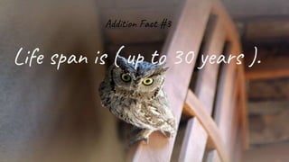 Addition Fact #3
Life span is ( up to 30 years ).
 