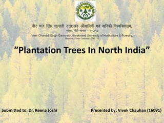 “Plantation Trees In North India”
Submitted to: Dr. Reena Joshi Presented by: Vivek Chauhan (16091)
 