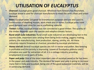 UTILISATION OF EUCALYPTUS
• Charcoal: Eucalypt gives good charcoal. Wherever farm forestry has flourished,
eucalypt wood is used for charcoal manufacture to meet the semi urban and urban
demand.
• Poles: Eucalypt poles are good for transmission purposes and are also used in
construction of dwelling houses, work sheds and in mines. Eucalypt poles have
good demand near cities for use as scaffolding material.
• Timber: Earlier, eucalypt wood was not considered a good timber. The quality of
the timber depends upon the species and edapho-climatic factors.
• Rural small scale industries: Rural small scale industries are developing fast in the
country-side, important ones among them being brick making, jaggery making,
pottery, tile manufacturing, lime production, dyeing, smithy, etc. All these
industries require firewood or charcoal, provided by eucalypt plantations.
• Honey and oil: Several eucalypt species are rich in nectar and pollen. Bee keeping
is profitable and this activity is improving. Leaves of Eucalyptus globulus and E.
citriodora are used for extraction of oil. It is a cottage industry providing
employment in some parts of India.
• Paper and pulp: One of the most important uses of eucalypt wood so far has been
in the paper and pulp industry. The demand for paper and pulp is going to increase
many fold in India and eucalypt, being one of the good pulpwood materials, will be
in continuing demand.
 