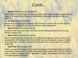 Conti…
• Banyan Tree (Ficus benghalensis)
The national tree of India, the Banyan tree has a large canopy and aerial prop
roots. It is revered by Hindus and Buddhists alike and represents life and
fertility.
• Sal Tree (Shorea robusta)
Native to the Indian sub-continent the Sal tree is known for its fine quality
timber user to make furniture and other wood implements.
• Arjuna Tree (Terminalia arjuna)
Found on the banks of rivers this tree can be distinguished by its unusual
fibrous woody fruit.
• Neem Tree (Azadirachta indica)
Neem is perhaps best known for its medicinal properties and is used in the
preparation of making kinds of cosmetics such as shampoos, soaps, creams,
ointments etc. It is also used to treat the pox virus and is used as a natural
pesticide.
• Teak Tree (Tectona grandis)
Teak is a tropical hardwood tree species placed in the flowering plant family
Lamiaceae. Some forms of teak are known as Burmese teak, Central Province
teak, as well as Nagpur teak. T. grandis is a large, deciduous tree that occurs
in mixed hardwood forests.
 