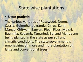 State wise plantations
• Uttar pradesh:
The various varieties of Rosewood, Neem,
Cassia, Gulmohar, Jakranda, Cirrus, Kanji,
Mango, Chitwan, Banyan, Pipal, Ficus, Mulsri,
Bauhinia, Kadamb, Tamarind, Bel and Mahua are
being planted in the state as per soil and
climatic conditions. The state government is
emphasizing on more and more plantation of
large and conventional trees.
 