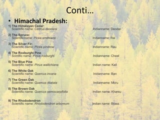 Conti…
• Himachal Pradesh:
1) The Himalayan Cedar:
Scientific name: Cedrus deodara Indianname: Deodar
2) The Spruce:
Scientificname: Picea smithiana Indianname: Rai
3) The Silver Fir:
Scientific name: Picea pindrow Indianname: Rau
4) The Roxburghi Pine
Scintific name: Pinus roxburghi Indianname: Cheel
5) The Blue Pine
Scientific name: Pinus wallichiana Indian name: Kail
6) The White Oak
Scientific name: Quercus incana Inidanname: Ban
7) The Green Oak
Scientific name: Quercus dilatata Indianname: Moru
8) The Brown Oak
Scientific name: Quercus semiscarpifolia Indian name: Kharsu
9) The Rhododendron
Scientific name: Rhododendron arboreum Indian name: Brass
 